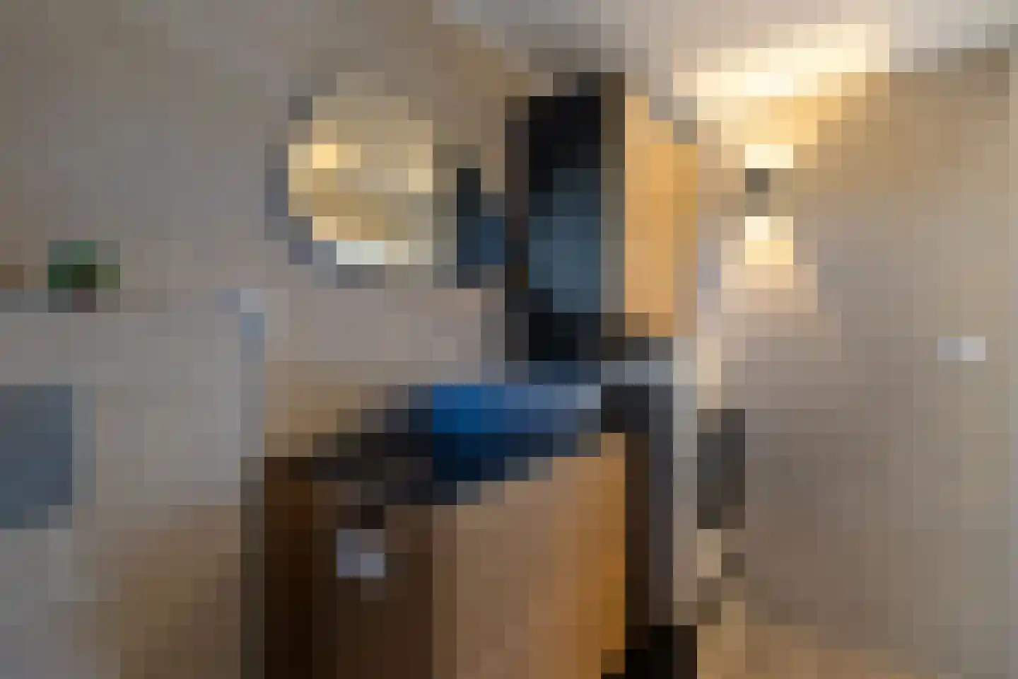 Laan van het Kinholt 191 Emmen thumbnail 25