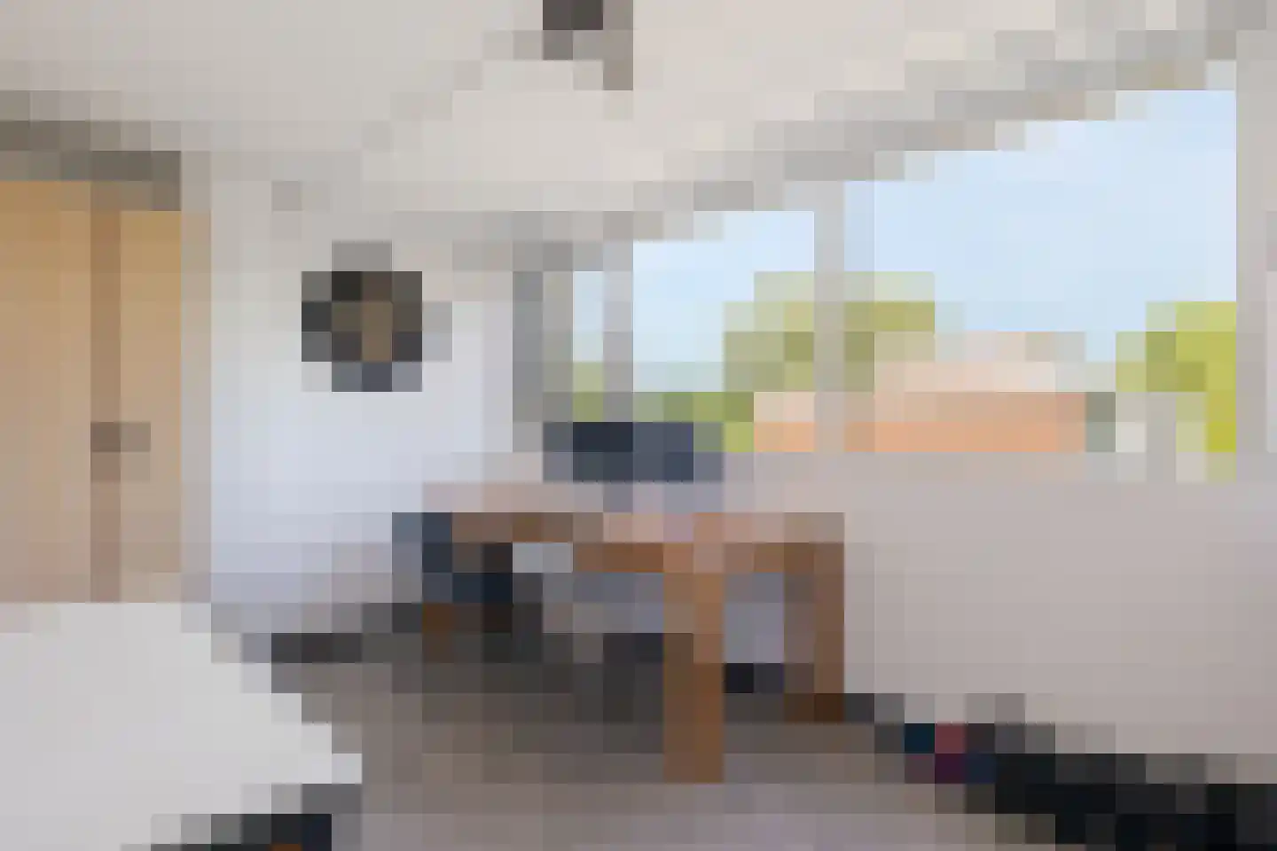 Laan van het Kinholt 191 Emmen thumbnail 26