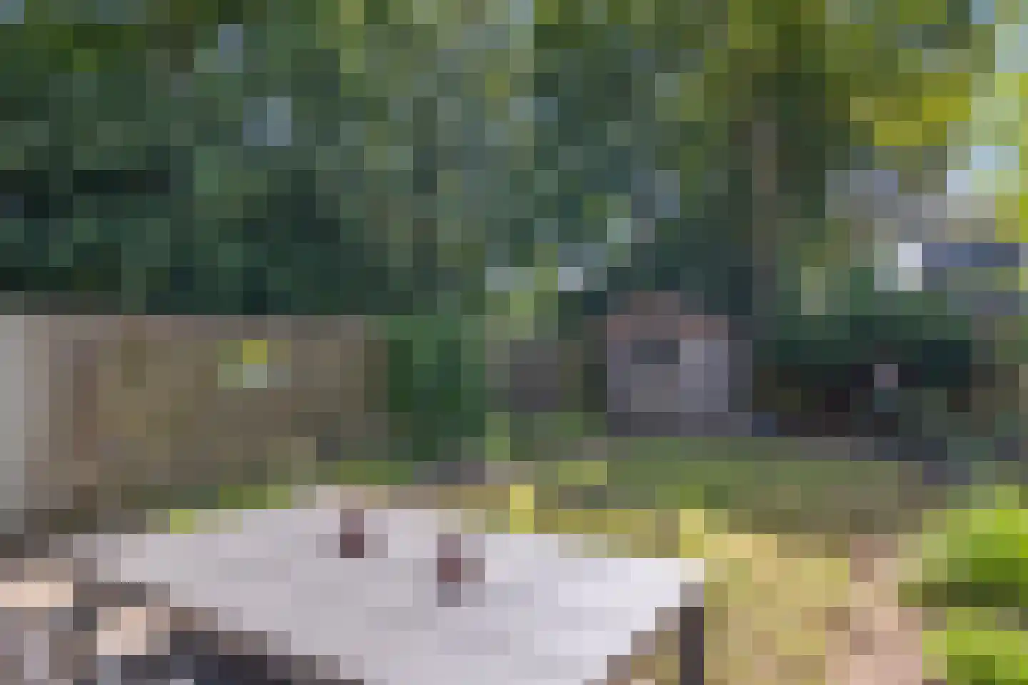 Laan van het Kinholt 191 Emmen thumbnail 28