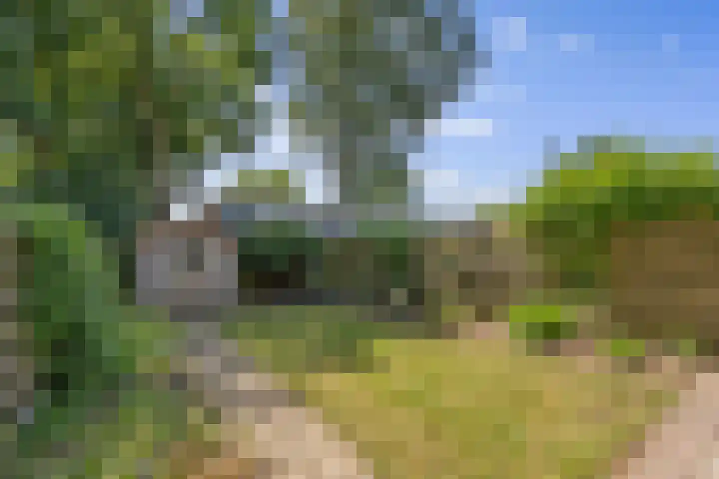 Laan van het Kinholt 191 Emmen thumbnail 30