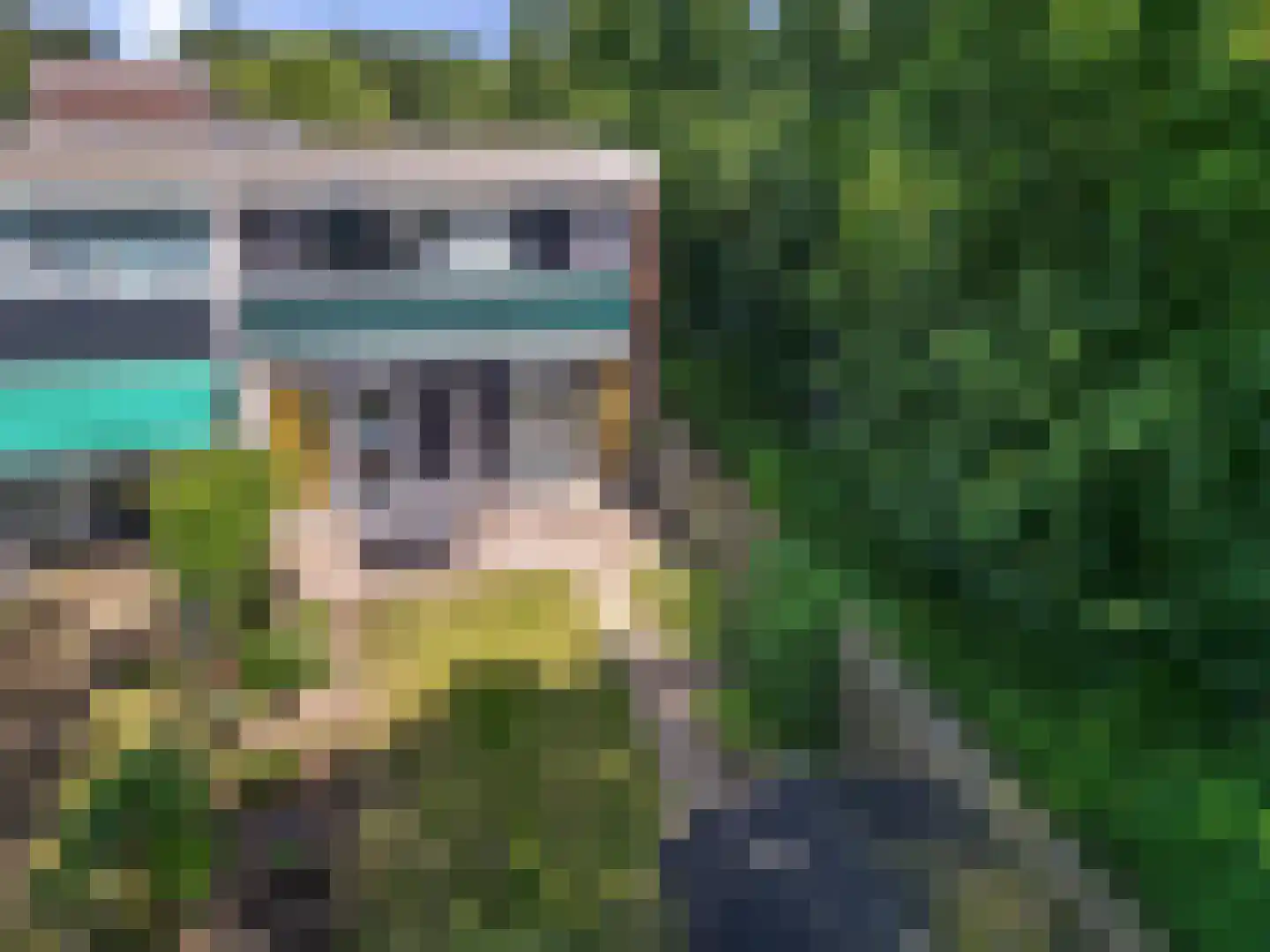 Laan van het Kinholt 191 Emmen thumbnail 37