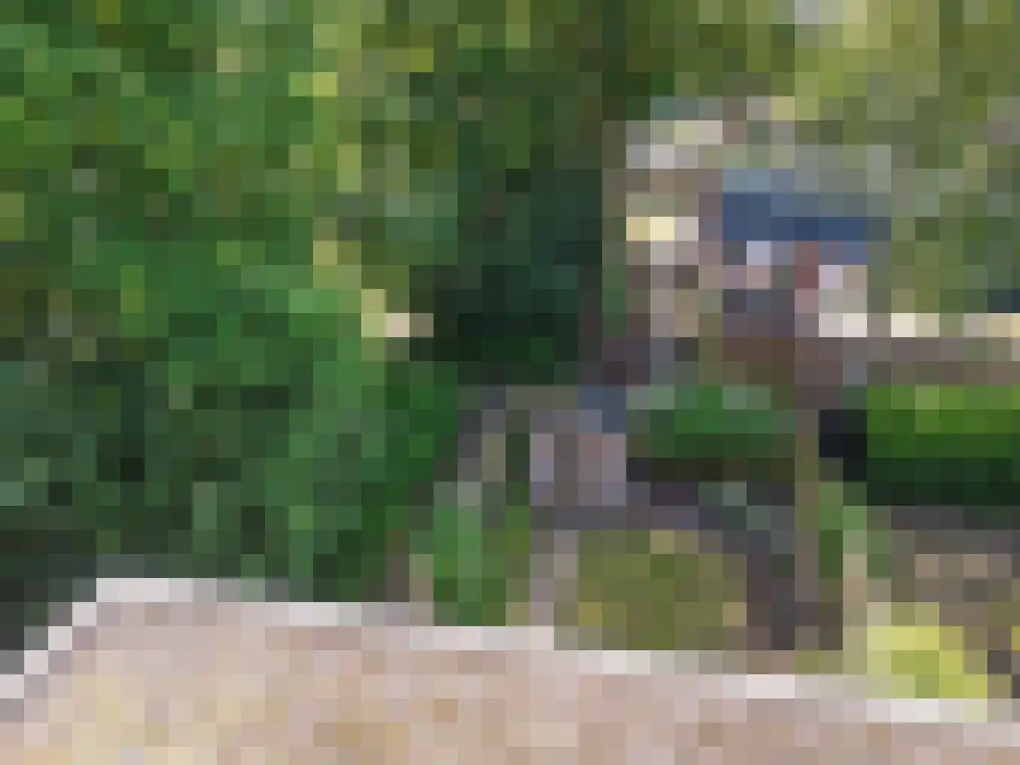 Laan van het Kinholt 191 Emmen thumbnail 38
