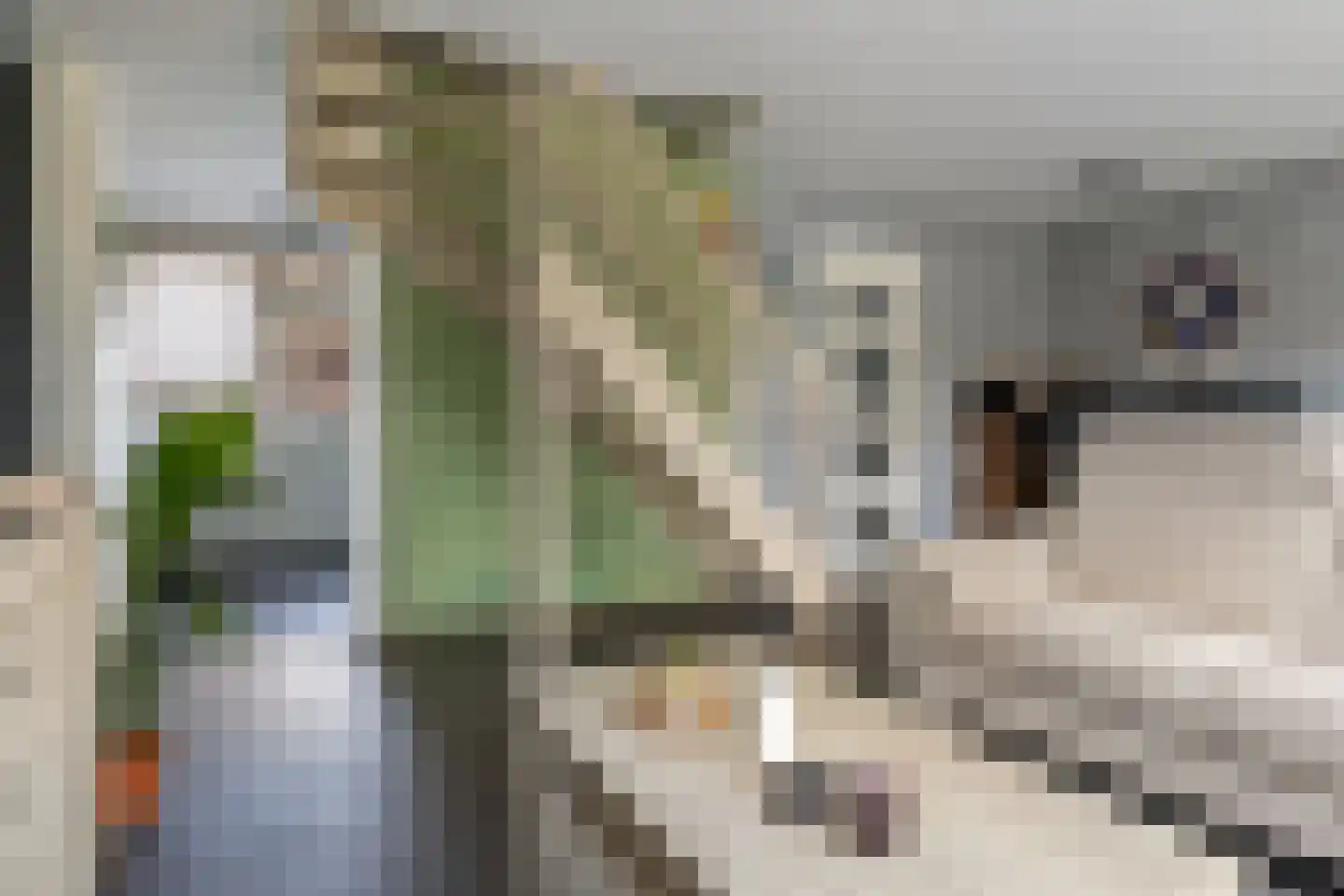 Laan van het Kinholt 227 Emmen thumbnail 12