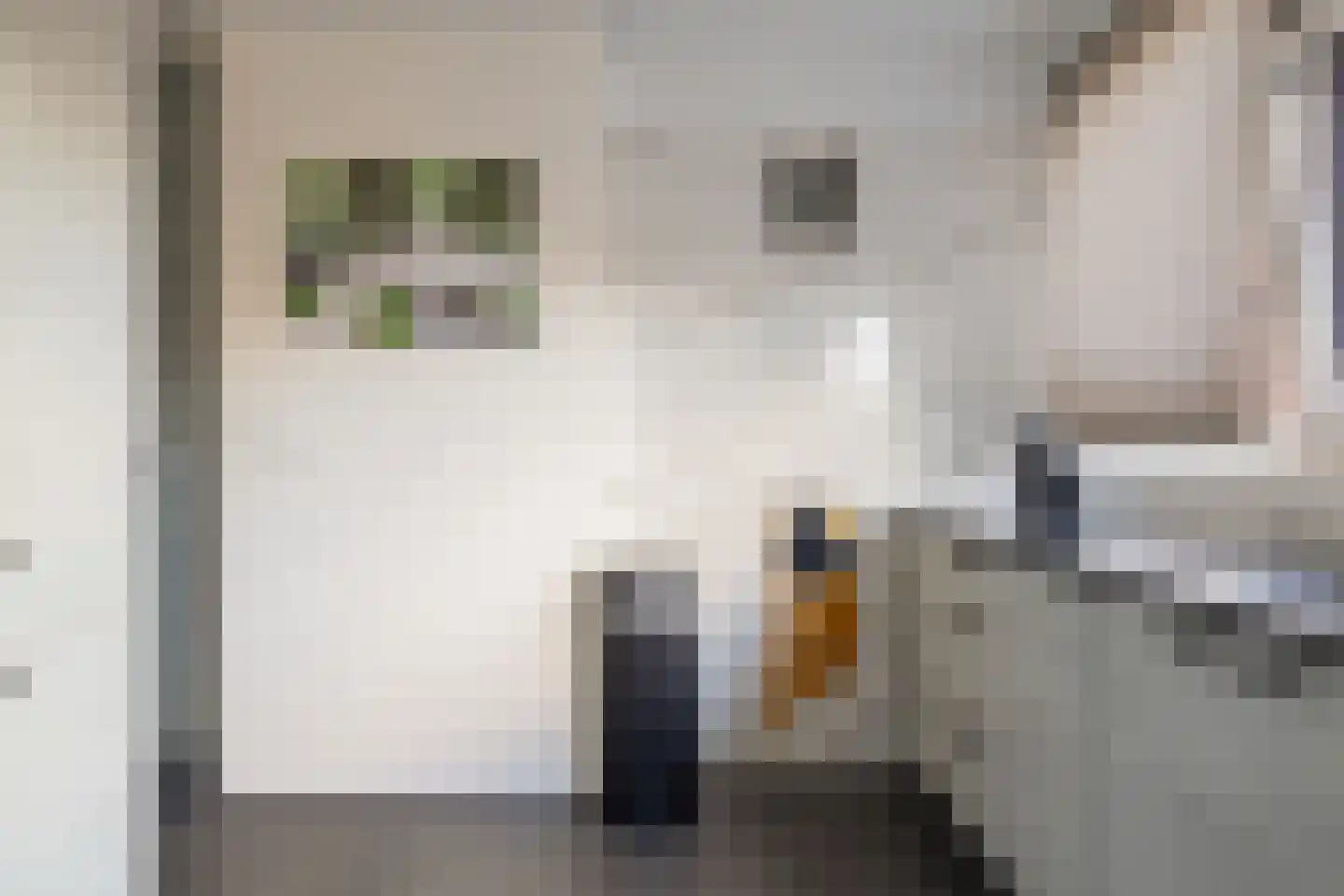 Laan van het Kinholt 227 Emmen thumbnail 14