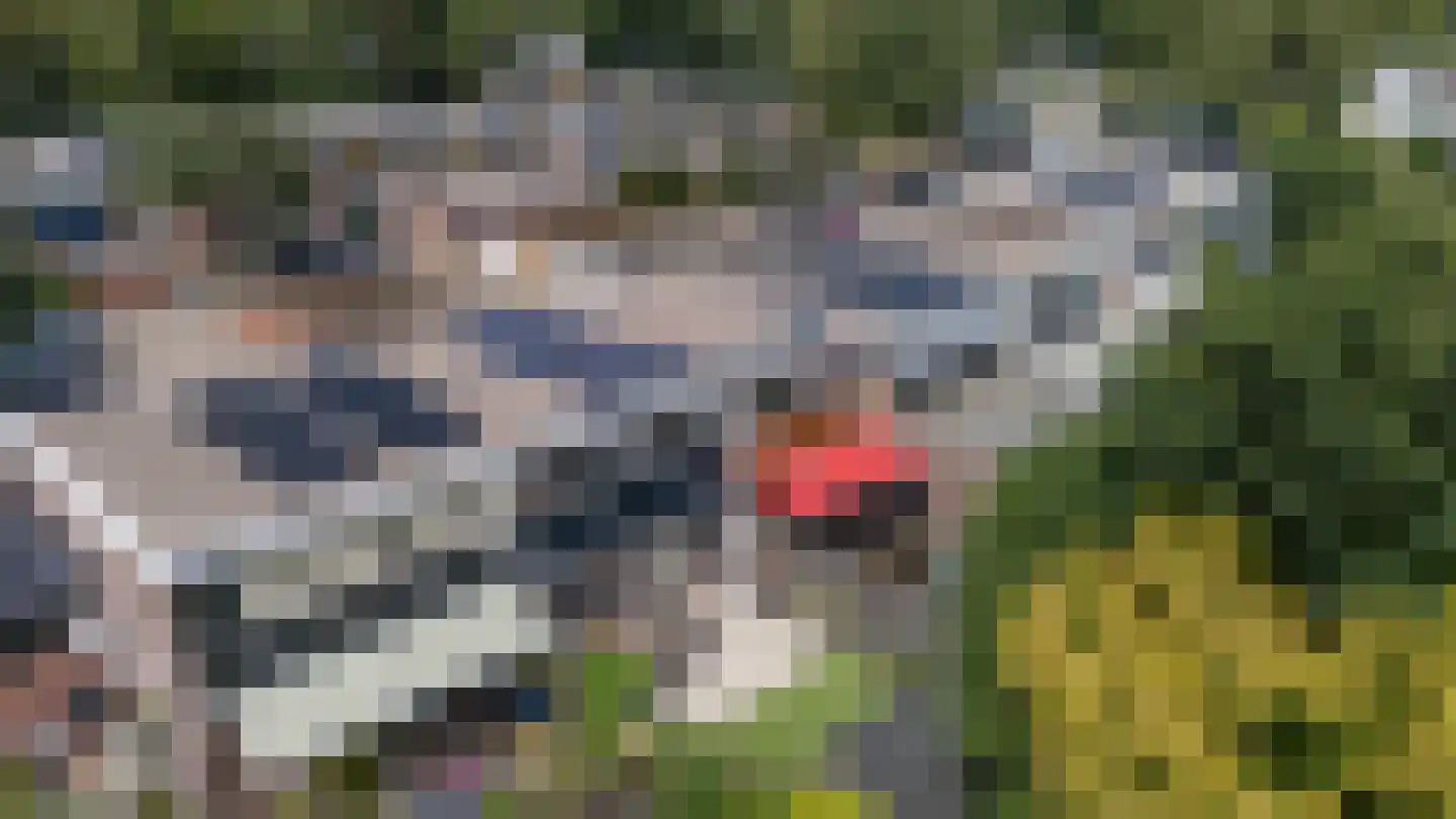 Laan van het Kinholt 227 Emmen thumbnail 29