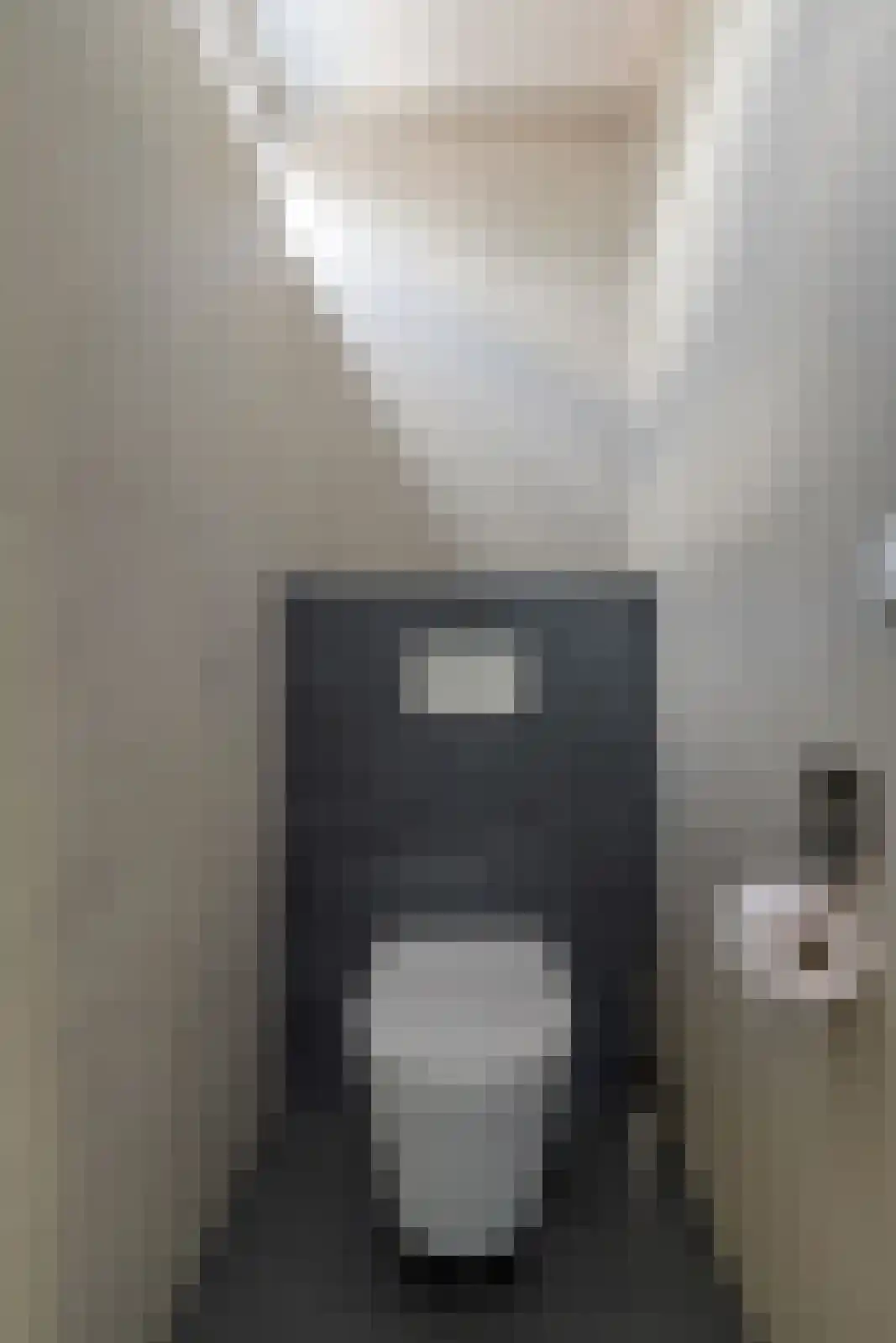 Laan van het Kinholt 227 Emmen thumbnail 8