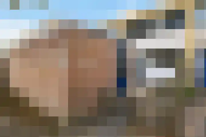 Laan van het Kinholt 290 in Emmen