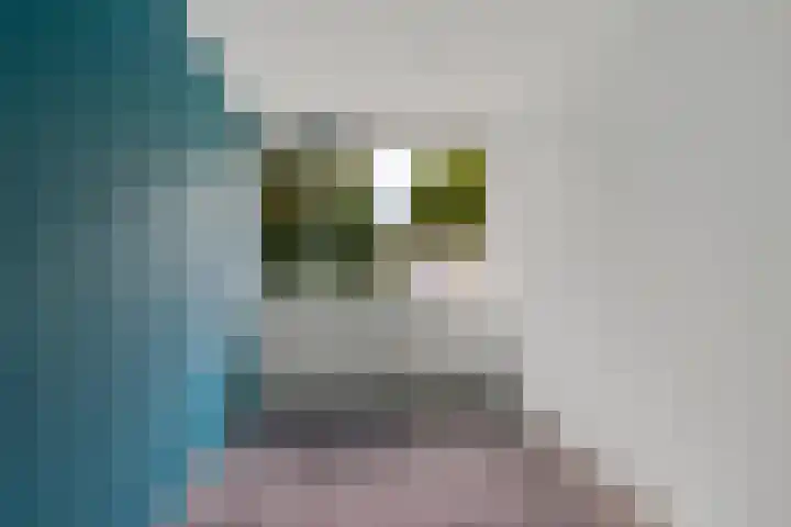 Laan van het Kinholt 290 Emmen thumbnail 12