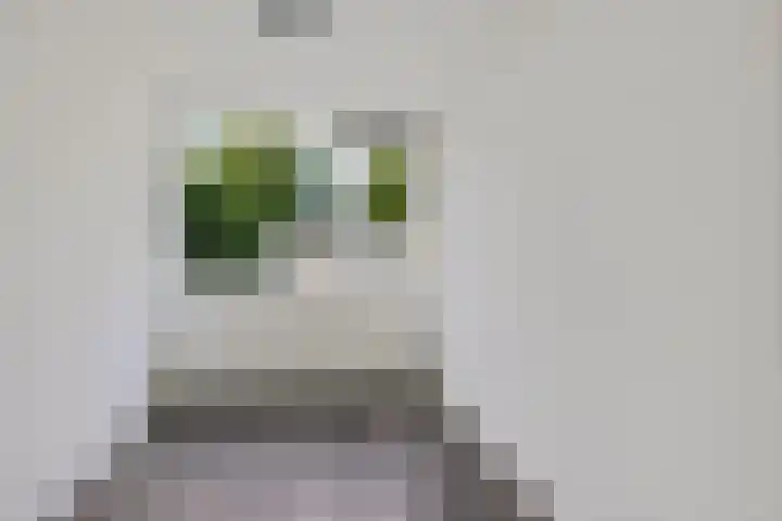 Laan van het Kinholt 290 Emmen thumbnail 13