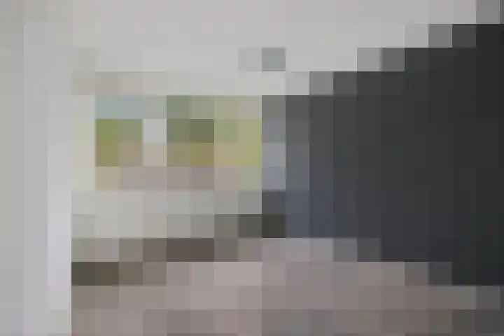 Laan van het Kinholt 290 Emmen thumbnail 14