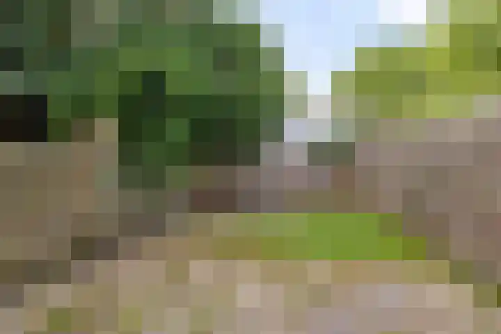 Laan van het Kinholt 290 Emmen thumbnail 17