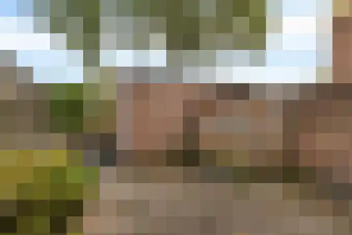 Laan van het Kinholt 290 Emmen thumbnail 19