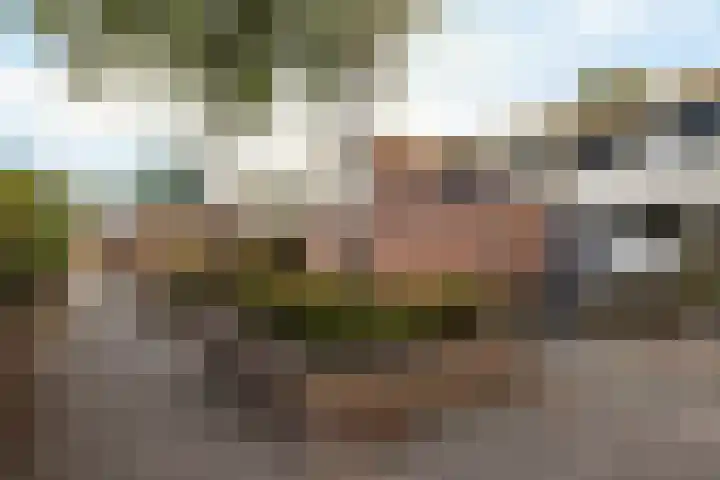 Laan van het Kinholt 290 Emmen thumbnail 20