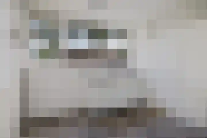 Laan van het Kinholt 290 Emmen thumbnail 4