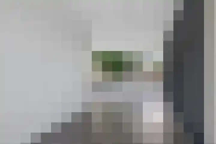 Laan van het Kinholt 290 Emmen thumbnail 5
