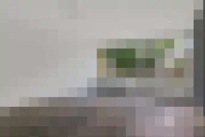 Laan van het Kinholt 290 Emmen thumbnail 6