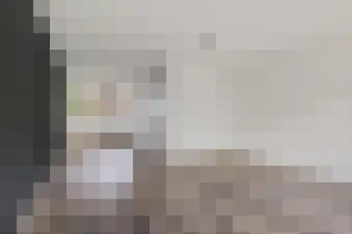 Laan van het Kinholt 290 Emmen thumbnail 7