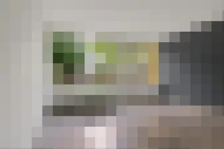 Laan van het Kinholt 290 Emmen thumbnail 8