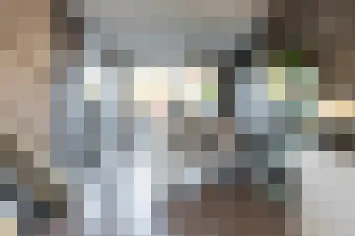 Laan van het Kinholt 293 Emmen thumbnail 11