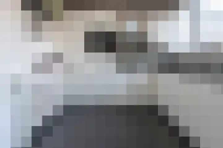 Laan van het Kinholt 293 Emmen thumbnail 12