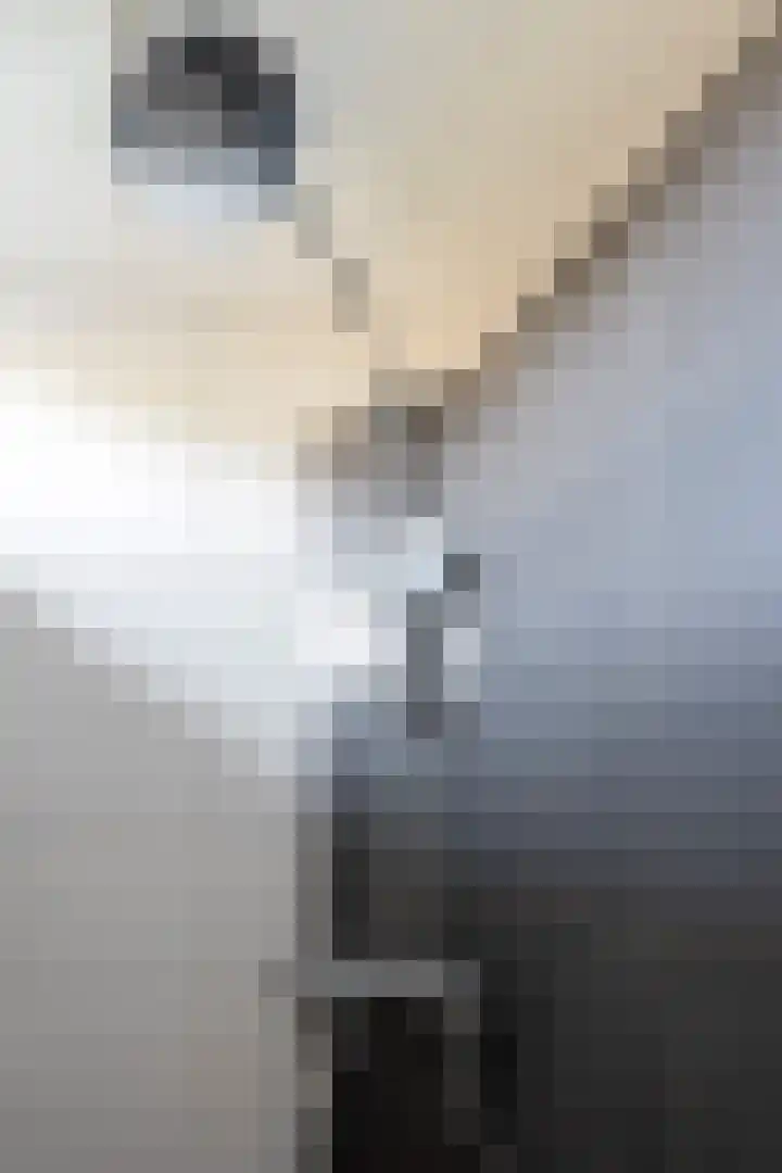 Laan van het Kinholt 293 Emmen thumbnail 22