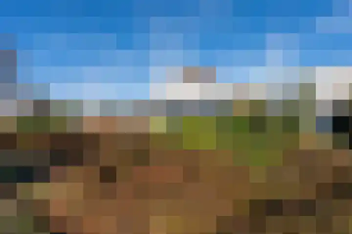 Laan van het Kinholt 293 Emmen thumbnail 27