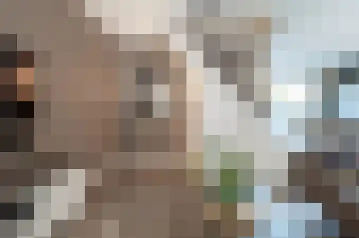 Laan van het Kinholt 293 Emmen thumbnail 8