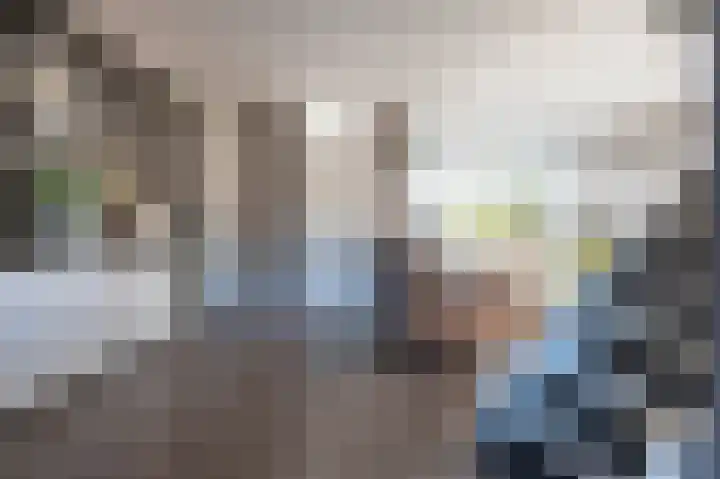 Laan van het Kinholt 293 Emmen thumbnail 9