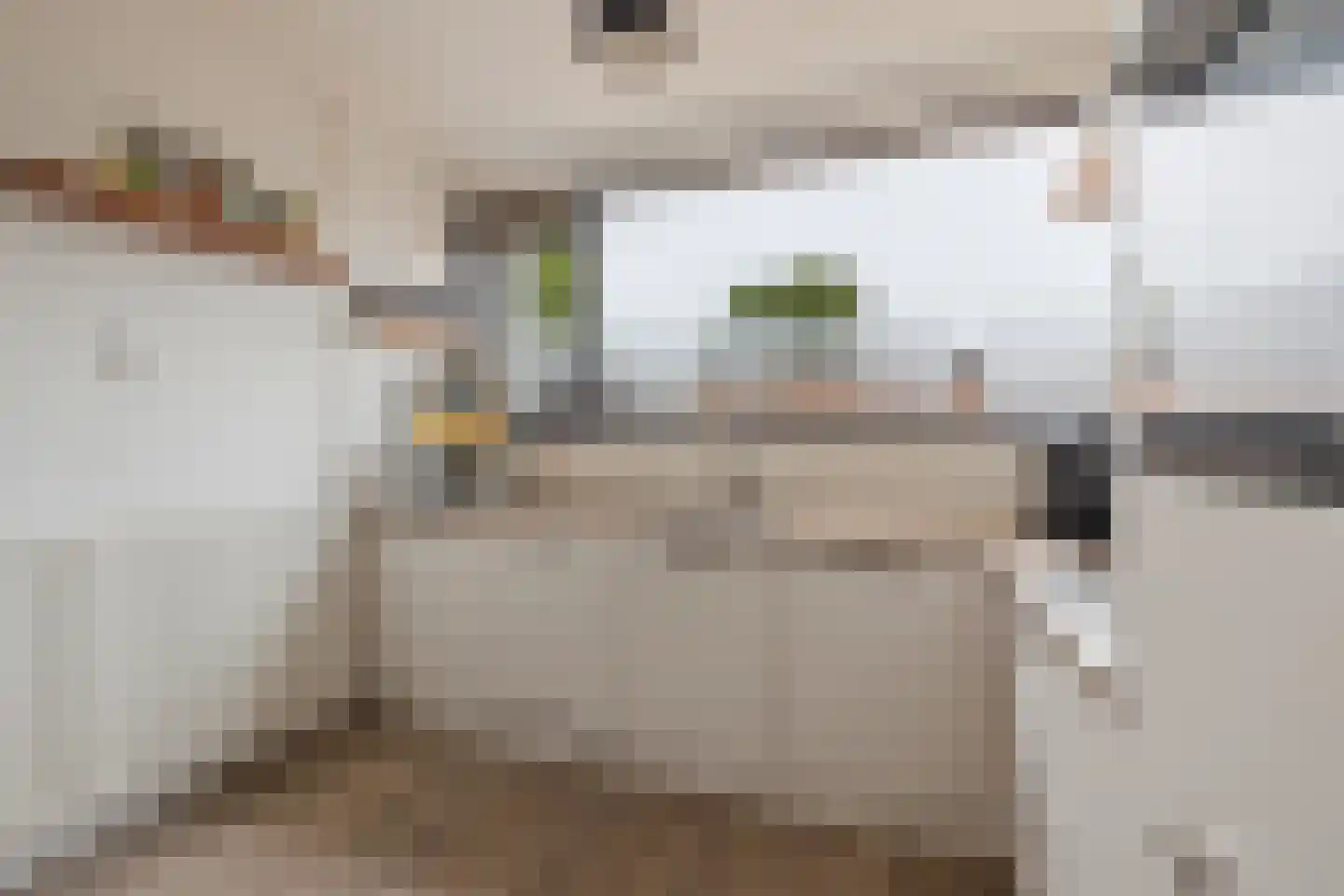 Laan van het Kinholt 304 Emmen thumbnail 12