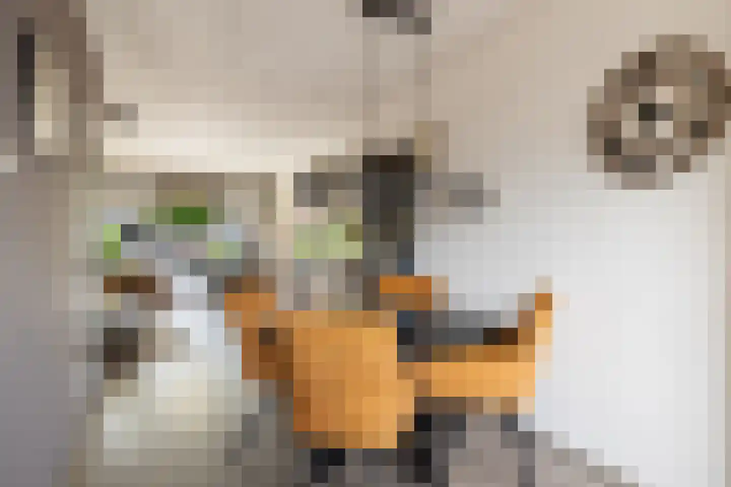 Laan van het Kinholt 304 Emmen thumbnail 13