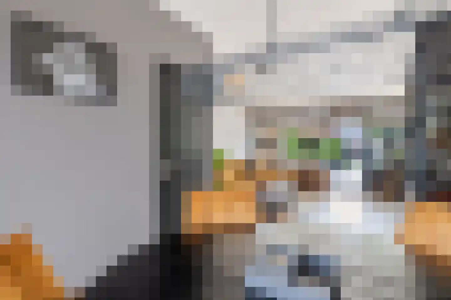 Laan van het Kinholt 304 Emmen thumbnail 14