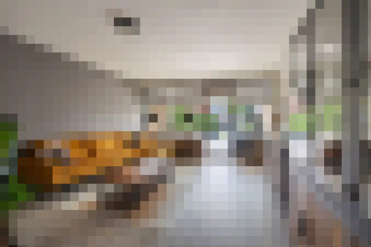 Laan van het Kinholt 304 Emmen thumbnail 15