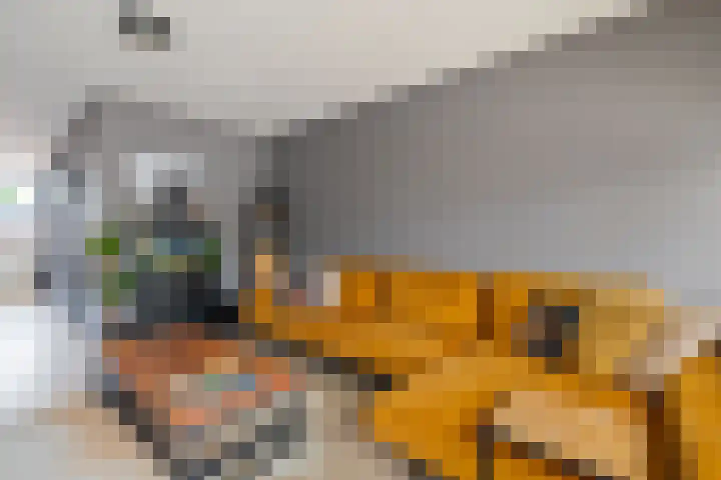 Laan van het Kinholt 304 Emmen thumbnail 18