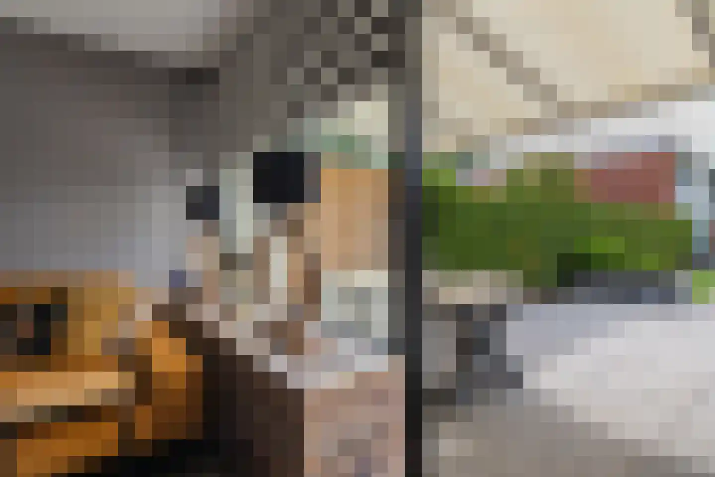 Laan van het Kinholt 304 Emmen thumbnail 20