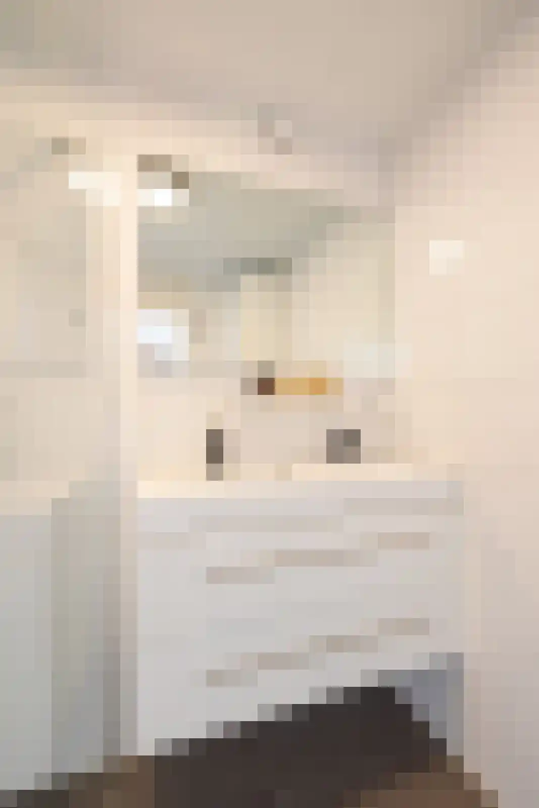 Laan van het Kinholt 304 Emmen thumbnail 32