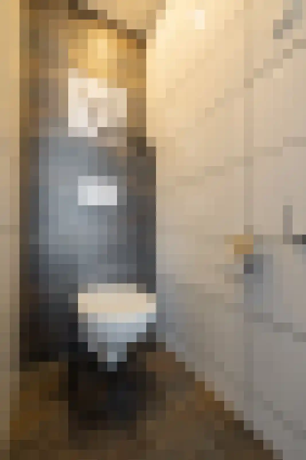 Laan van het Kinholt 304 Emmen thumbnail 8