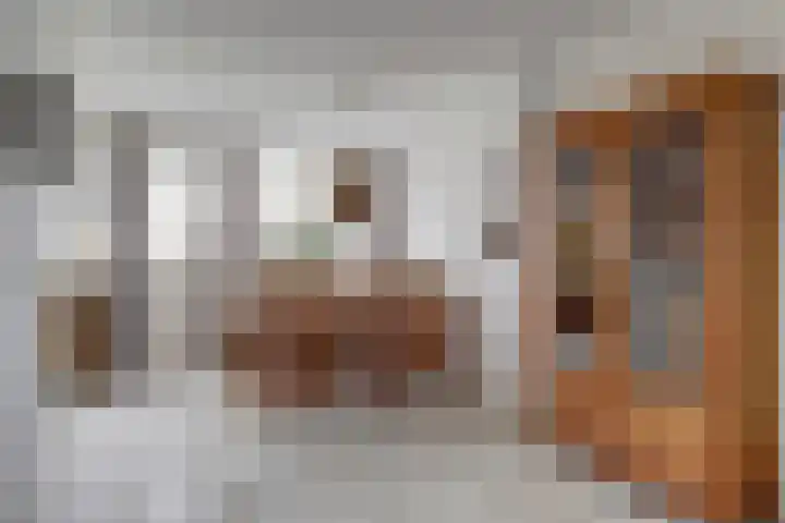 Laan van het Kinholt 313 Emmen thumbnail 13