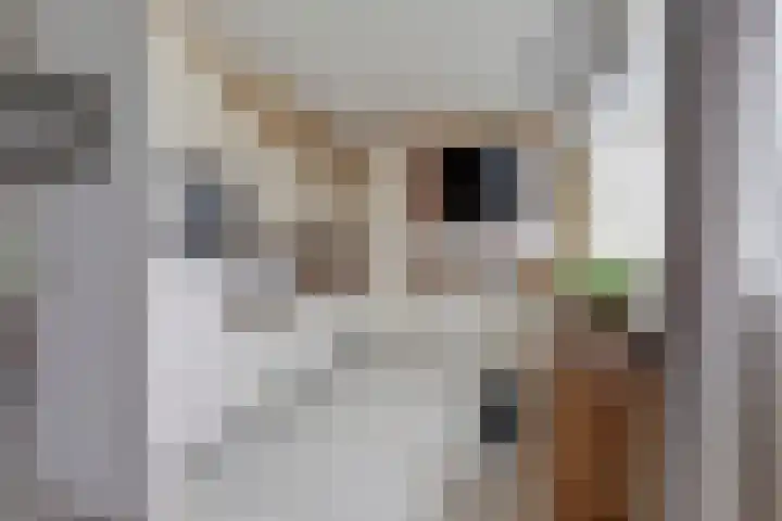 Laan van het Kinholt 313 Emmen thumbnail 16