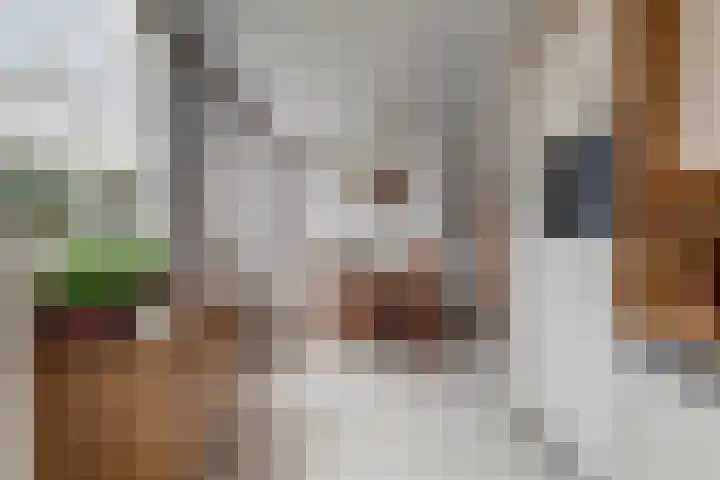 Laan van het Kinholt 313 Emmen thumbnail 17