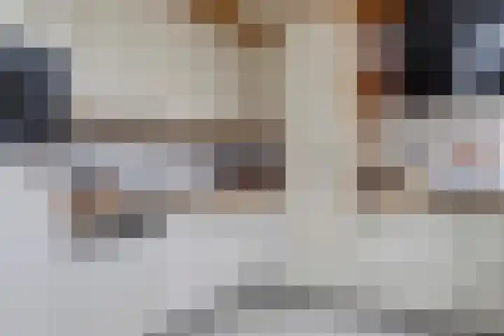 Laan van het Kinholt 313 Emmen thumbnail 18