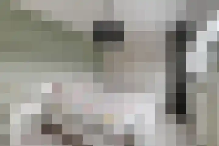 Laan van het Kinholt 313 Emmen thumbnail 21