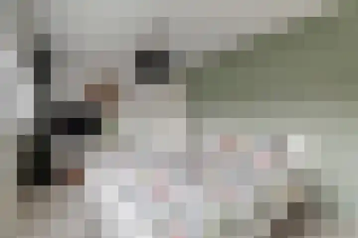 Laan van het Kinholt 313 Emmen thumbnail 22