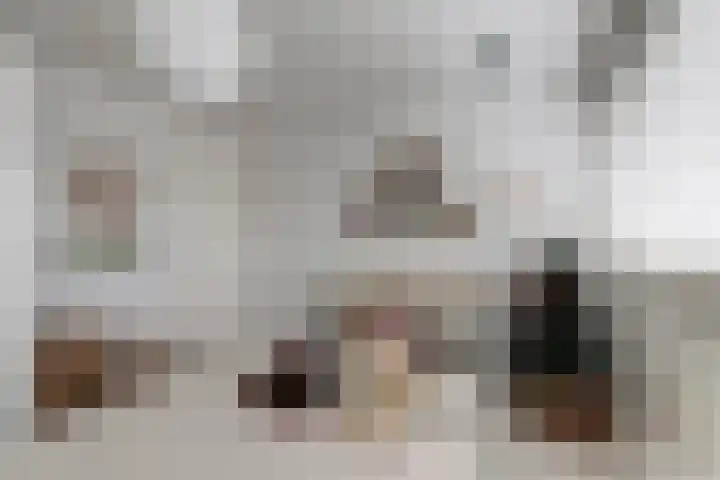 Laan van het Kinholt 313 Emmen thumbnail 24