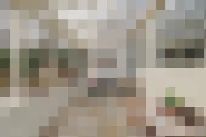 Laan van het Kinholt 313 Emmen thumbnail 28