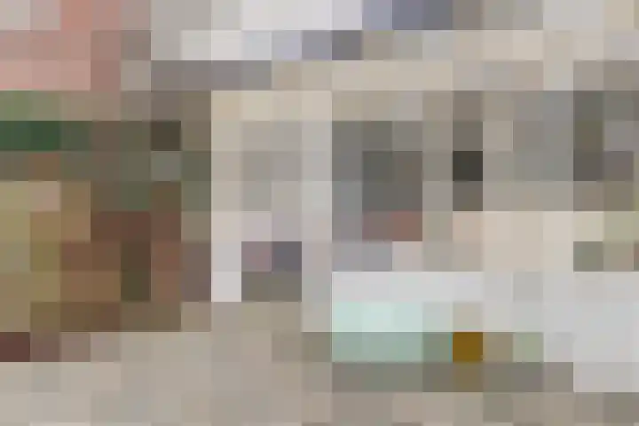 Laan van het Kinholt 313 Emmen thumbnail 29