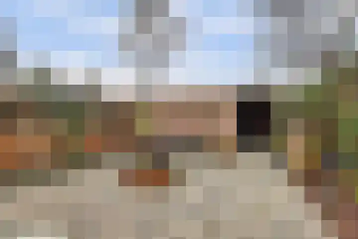 Laan van het Kinholt 313 Emmen thumbnail 30