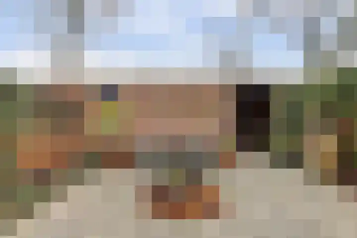 Laan van het Kinholt 313 Emmen thumbnail 31