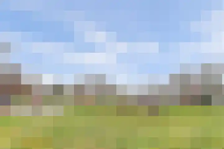 Laan van het Kinholt 313 Emmen thumbnail 34
