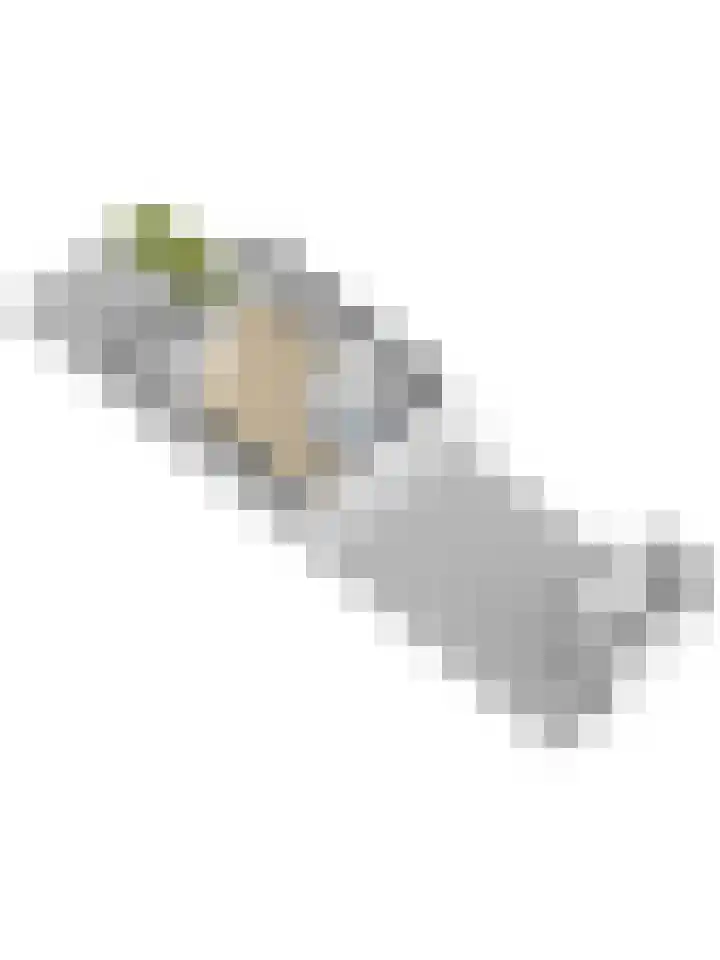 Laan van het Kinholt 313 Emmen thumbnail 40