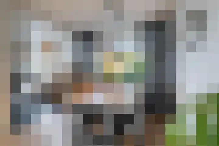 Laan van het Kinholt 315 Emmen thumbnail 12